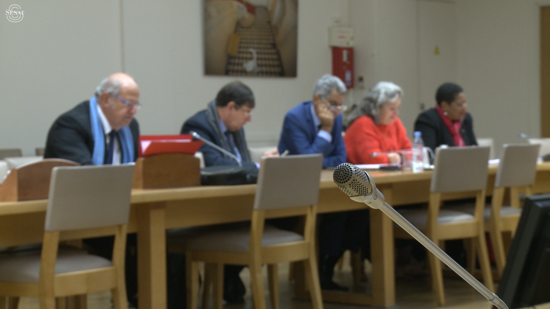 Outremer : quels tremplins pour le sport en outre-mer ?